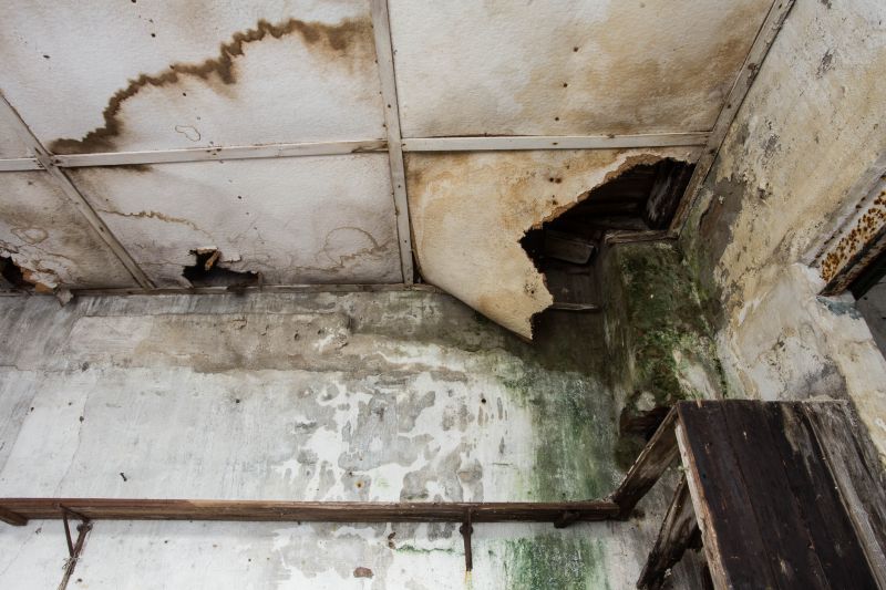 Wall Leak Repair