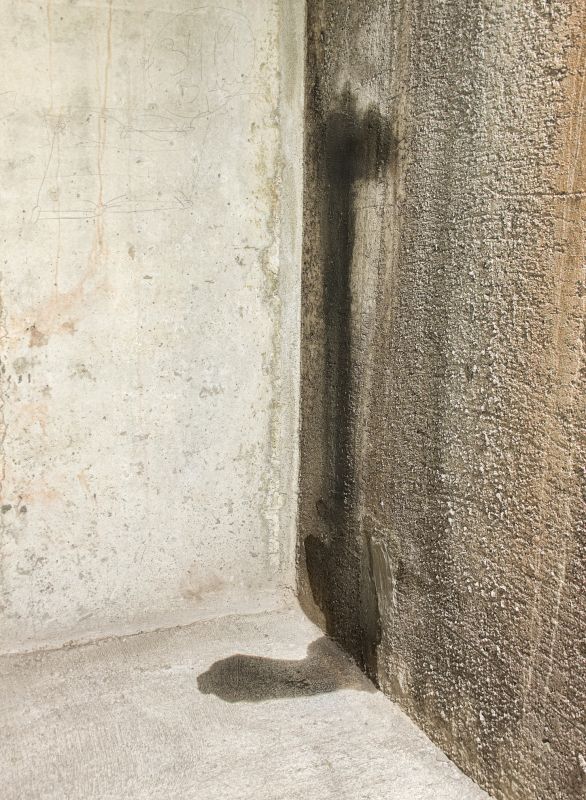 Wall Leak Repair