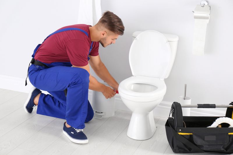 Toilet Parts Replacement in Denver, CO