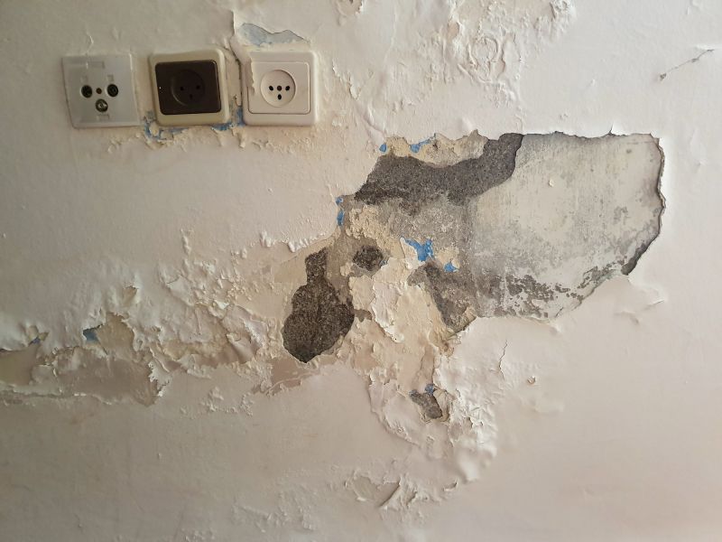 Interior Wall Restoration
